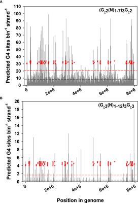 Integration of DNA Repair, Antigenic Variation, Cytoadhesion, and Chance in Babesia Survival: A Perspective